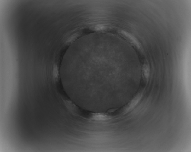 X0000101710380200807171541