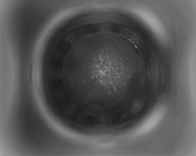 X0000101710383200807171541