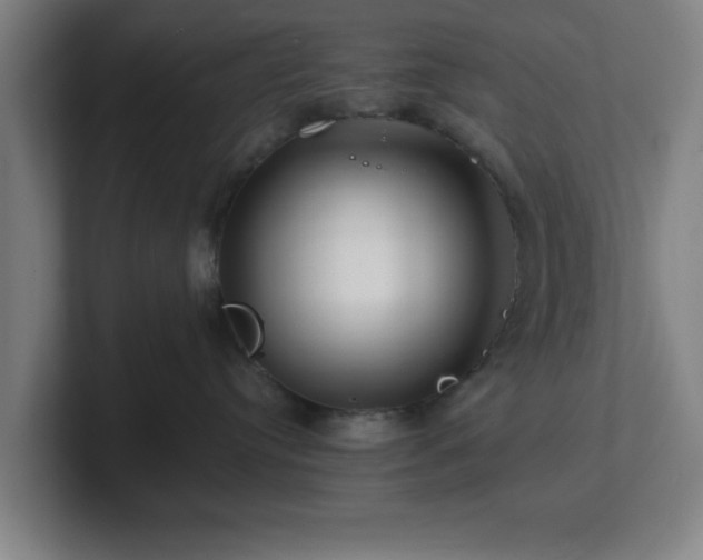 X0000101710384200807171541