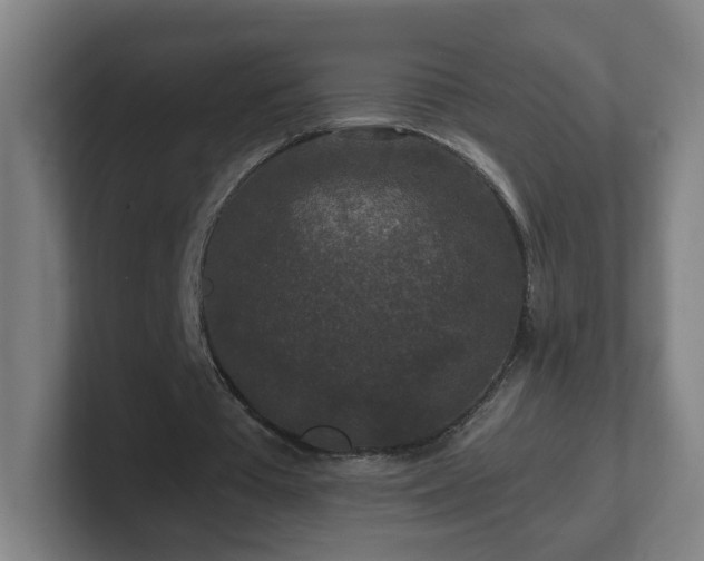 X0000101710385200807171540