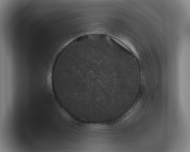 X0000101710389200807171540