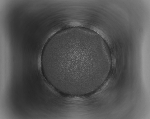 X0000101710390200807171540