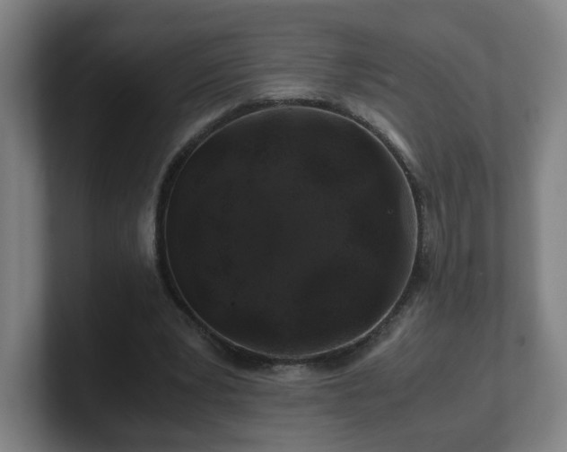 X0000101710391200807171540