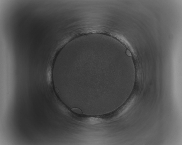 X0000101710393200807171540