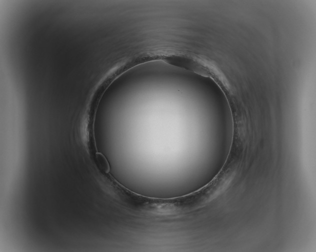 X0000101710395200807171540