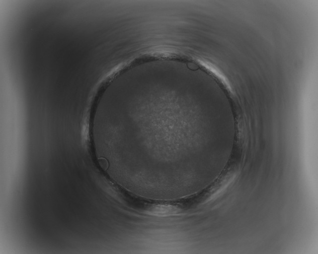 X0000101710399200807171540