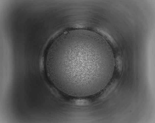 X0000101710400200807171540