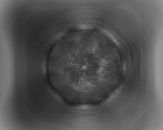 X0000101710402200807171540