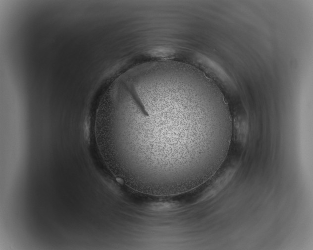 X0000101710404200807171540