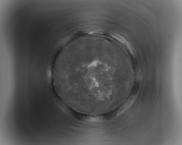 X0000101710405200807171540