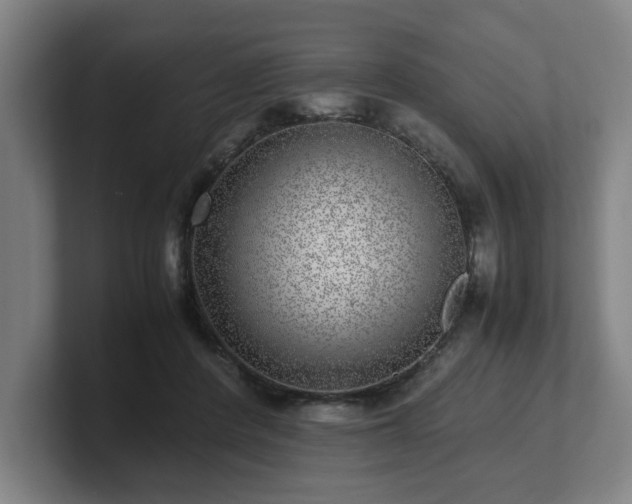 X0000101710408200807171540