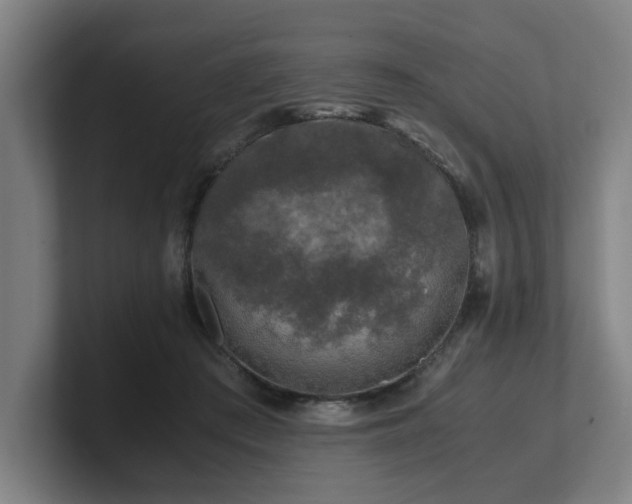 X0000101710409200807171540