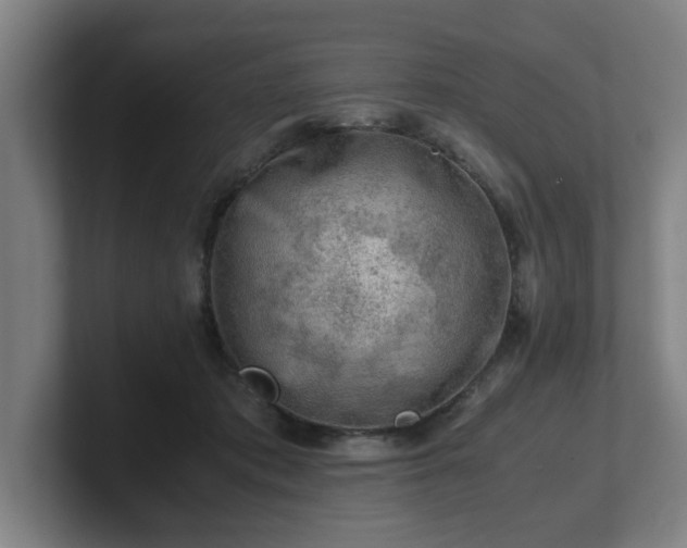 X0000101710413200807171540