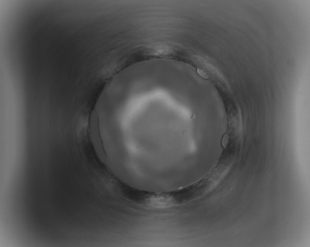 X0000101710415200807171540