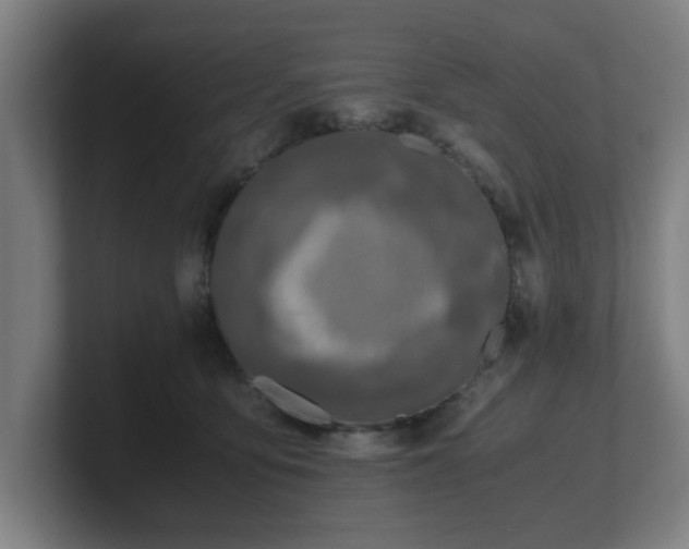 X0000101710419200807171540