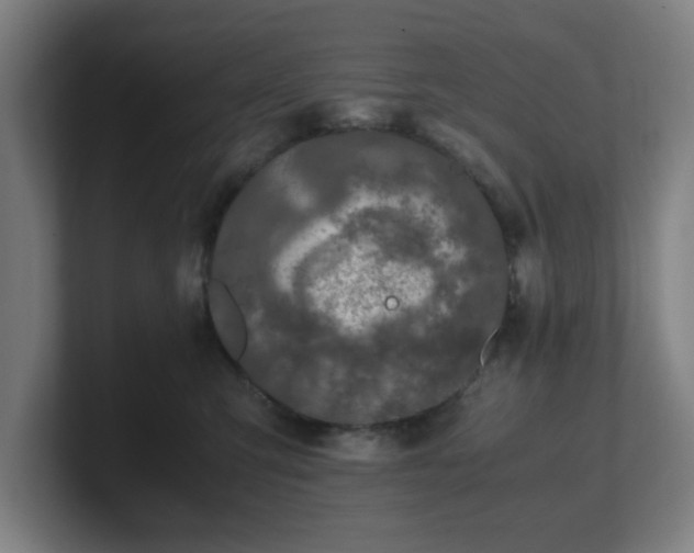 X0000101710423200807171540