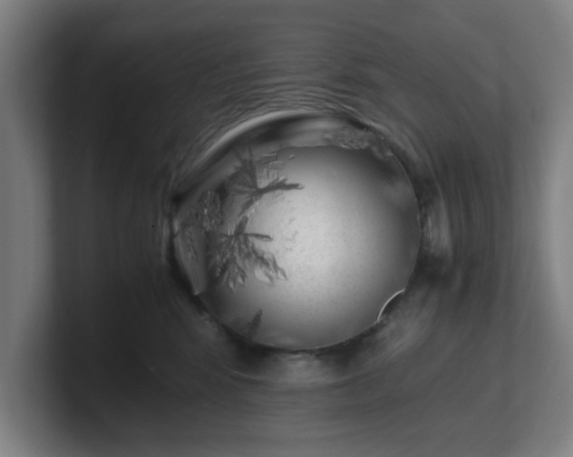 X0000101710424200807171540