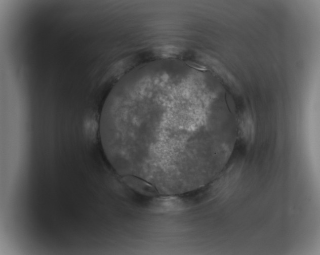 X0000101710427200807171540