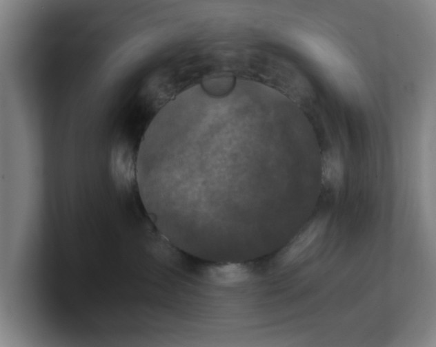 X0000101710431200807171539