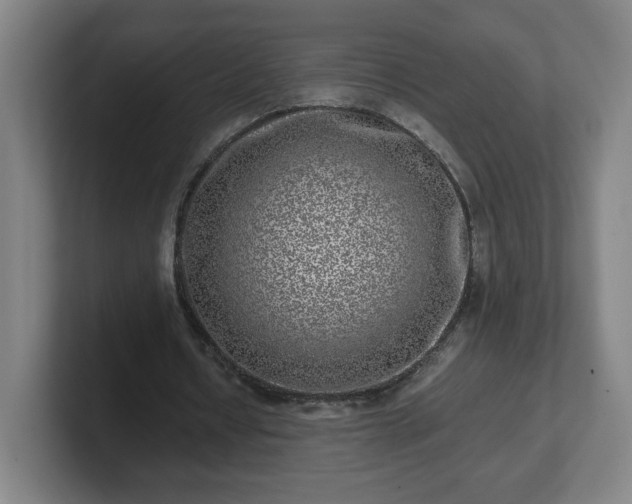 X0000101710434200807171539