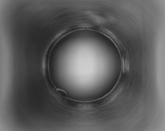 X0000101710435200807171539