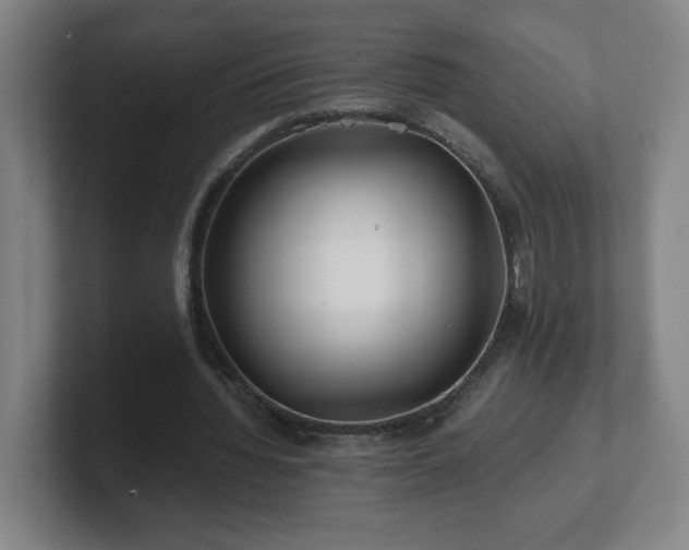 X0000101710436200807171539