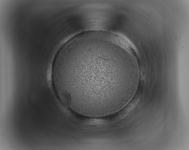 X0000101710437200807171539