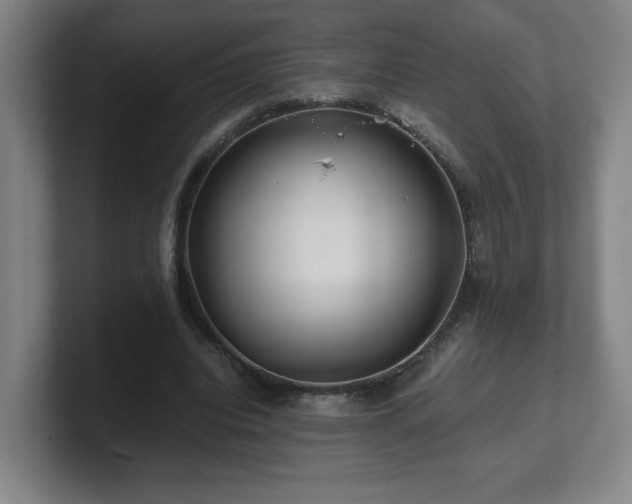 X0000101710440200807171539