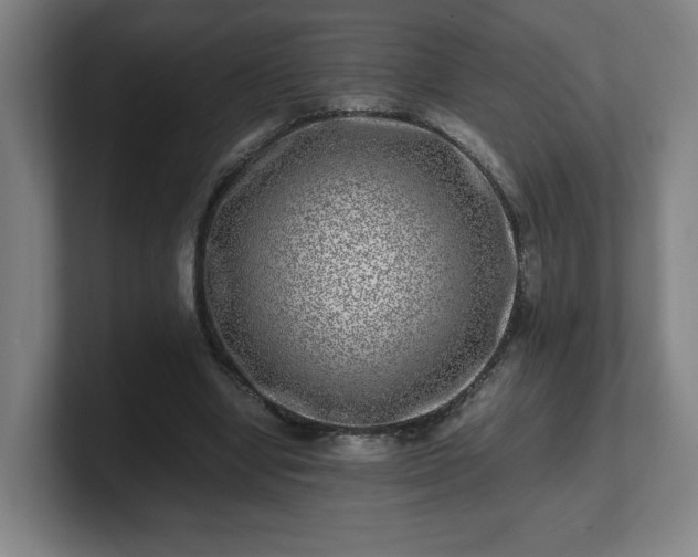 X0000101710442200807171539