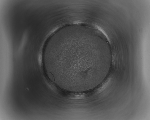 X0000101710443200807171539