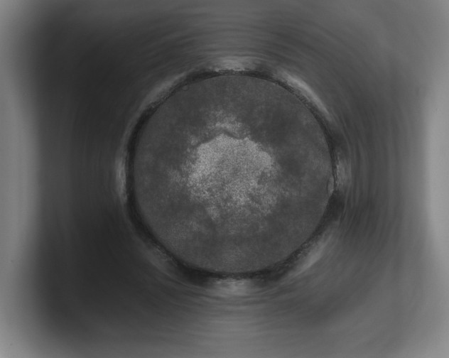 X0000101710444200807171539