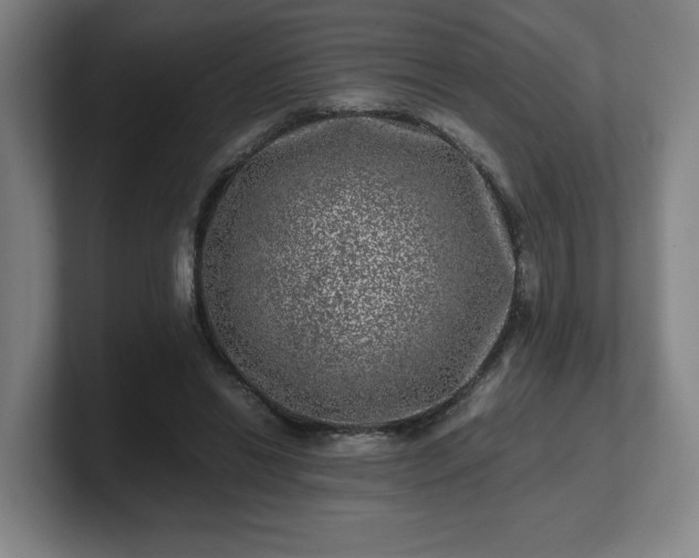 X0000101710446200807171539