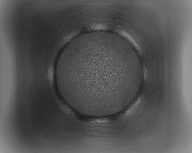 X0000101710447200807171539