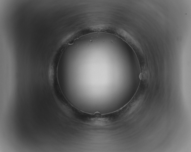 X0000101710448200807171539