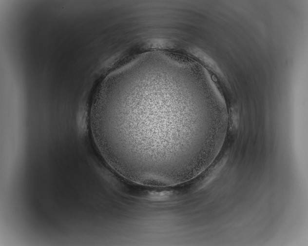 X0000101710450200807171539