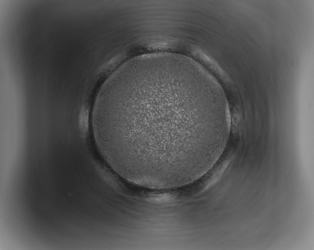 X0000101710454200807171539