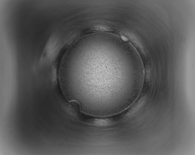 X0000101710457200807171539