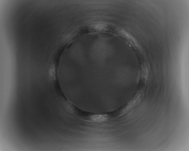 X0000101710465200807171539