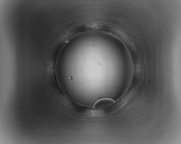 X0000101710466200807171539