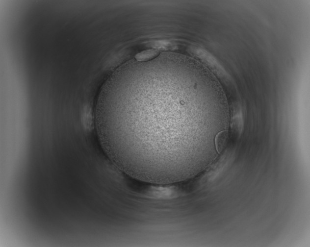 X0000101710469200807171539