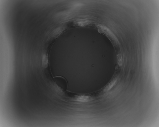 X0000101710471200807171539