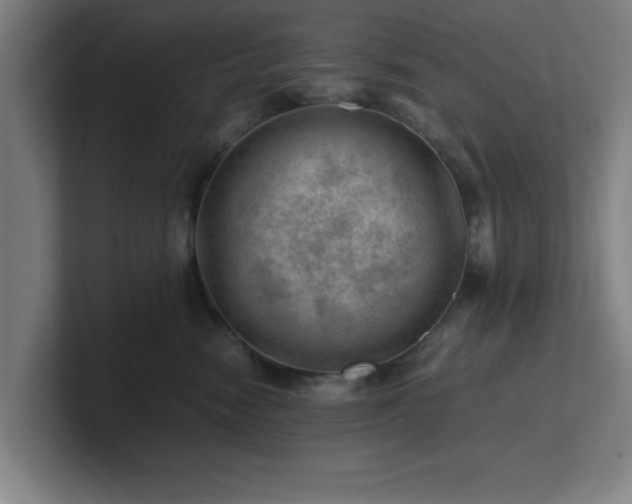 X0000101710474200807171539