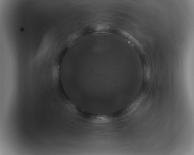 X0000101710475200807171539