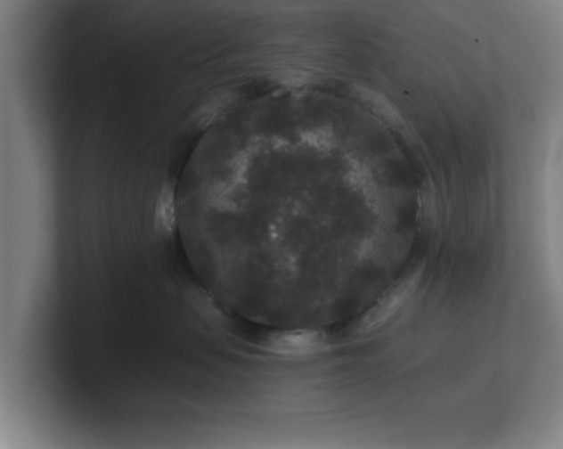 X0000101710479200807171539