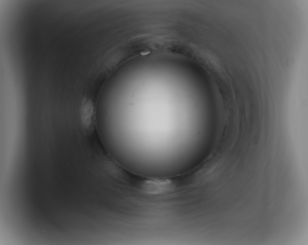 X0000101710480200807171539