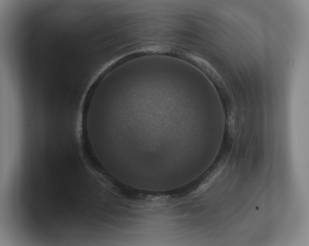 X0000101710484200807171539