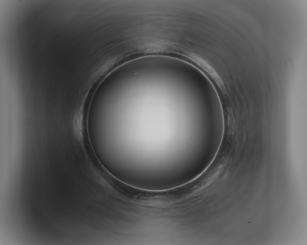 X0000101710485200807171539