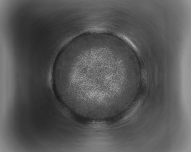 X0000101710487200807171539