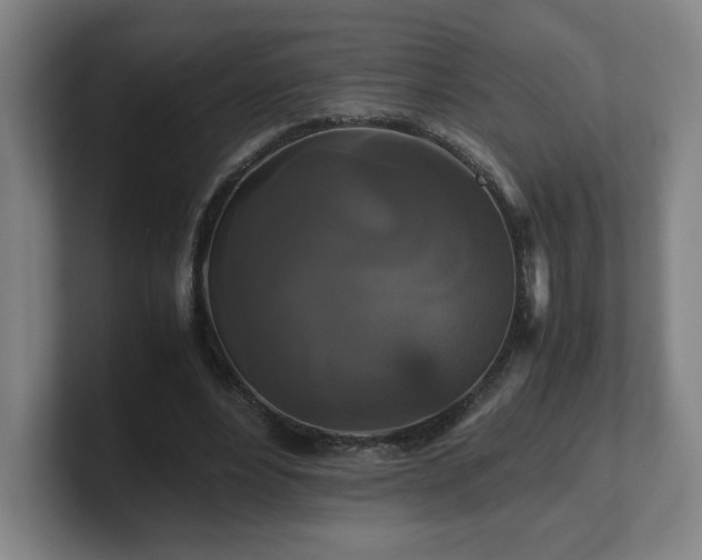 X0000101710488200807171539