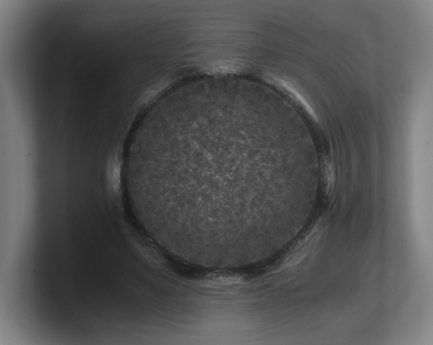 X0000101710491200807171539